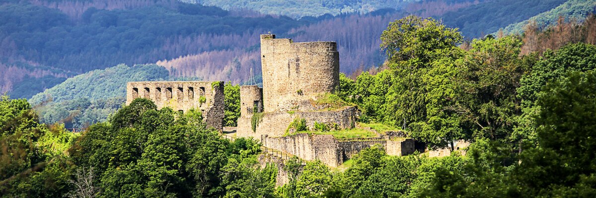 Blick auf eine Burgruine auf einem Berg mitten in den Wäldern.