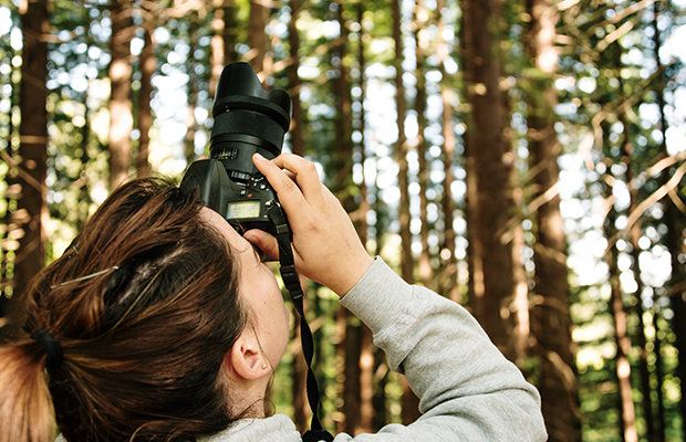 Eine Frau fotografiert den Wald mit einer Kamera.