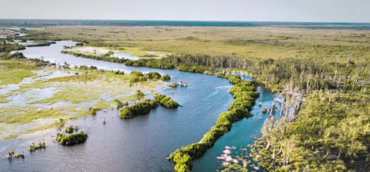 Torfmoor umrandet von grüner Wiese und Wald.