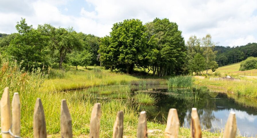 Das Krombachtal - Eine Perle des regionalen Naturschutzes | Krombacher