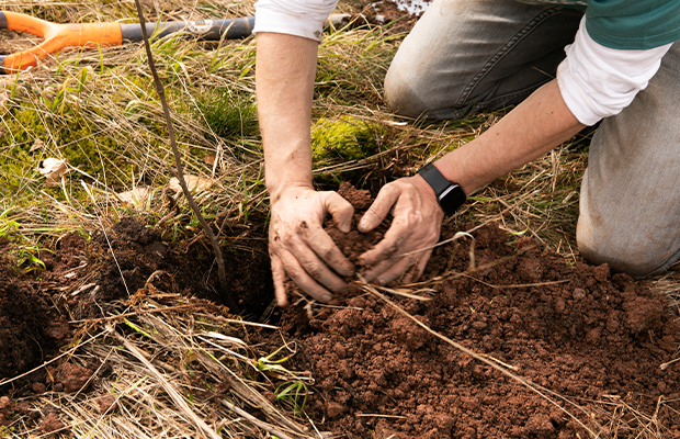 Person kniet auf dem Boden und pflanzt einen jungen Baum in die Erde.