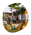 Menschen stehen unter Sonnenschirmen mit Krombacher-Logo beim Krombacher Sommerfest im Garten, bunte Wimpel und Blätter hängen im Vordergrund