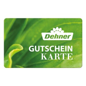6472_krombachershop_dehner 6472_krombachershop_dehner