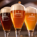 2030_Krombacher_Traditionspokal_Mood3_1 2030_Krombacher_Traditionspokal_Mood3_1